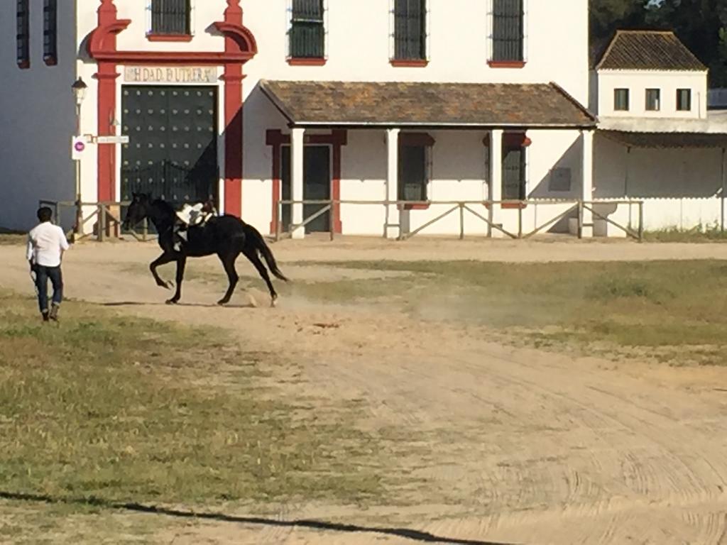 El Rocio Azul Alojamiento Rural מראה חיצוני תמונה